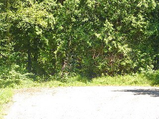 Picture of Point Roberts Parcel Number 405303-036376